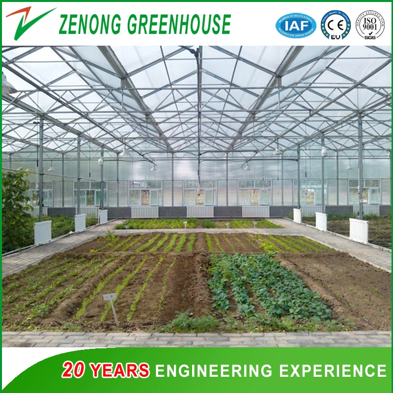 Polycarbonate Board Covered Greenhouse with Circular Fin Tube for Heat Preservation for Cold Season