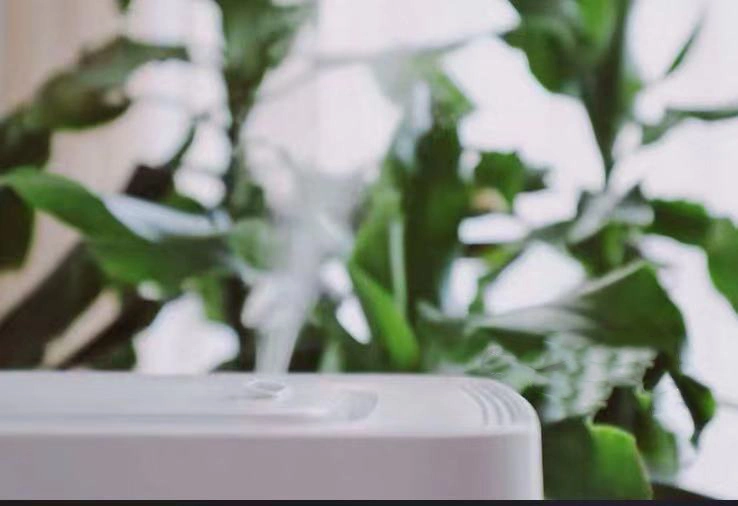Table Top Home Use Humidifier with Heavy Mist