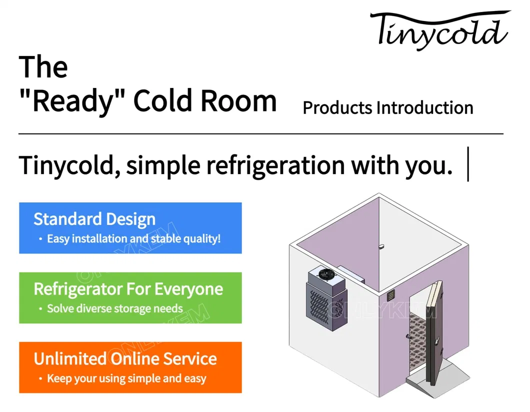10*10FT Walk in Freezer Storage Monoblock Cold Room