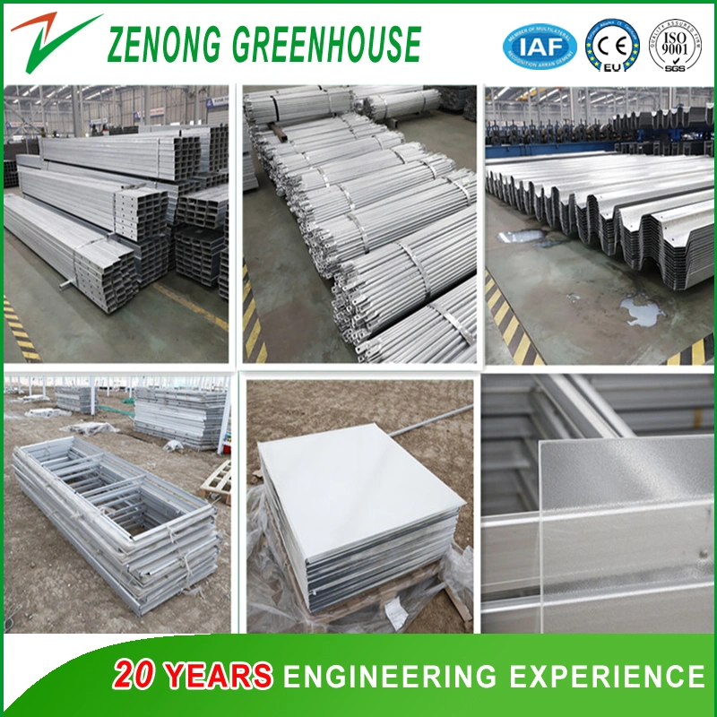 Polycarbonate Board Covered Greenhouse with Circular Fin Tube for Heat Preservation for Cold Season