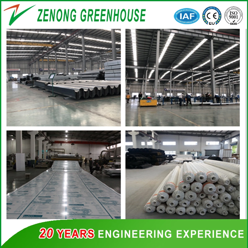 Glass Greenhouses with Heating Fan for Cold Area Vegetable/Flower Cultivation