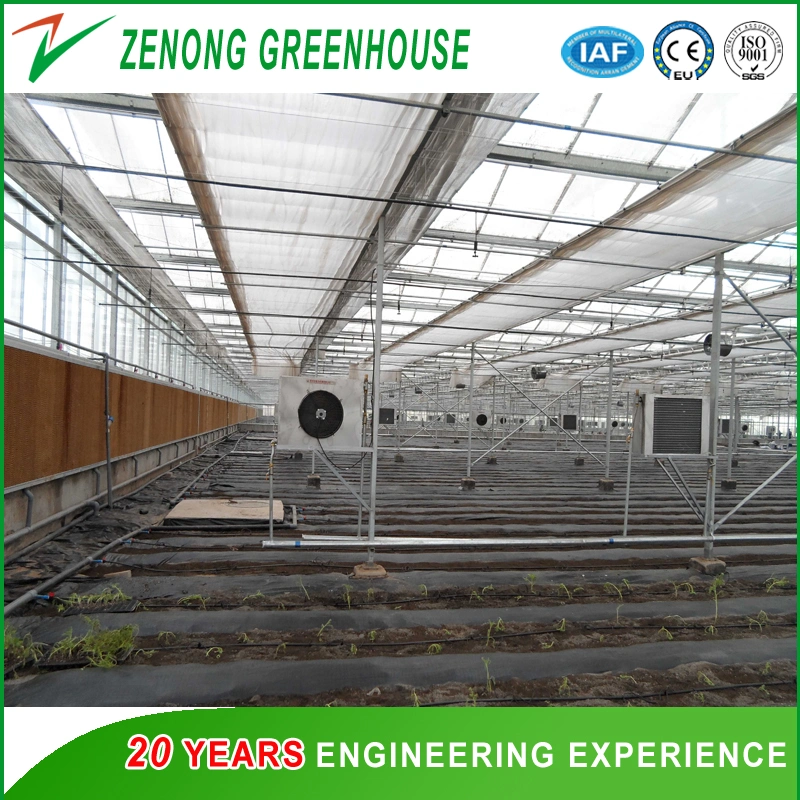 Glass Greenhouses with Heating Fan for Cold Area Vegetable/Flower Cultivation