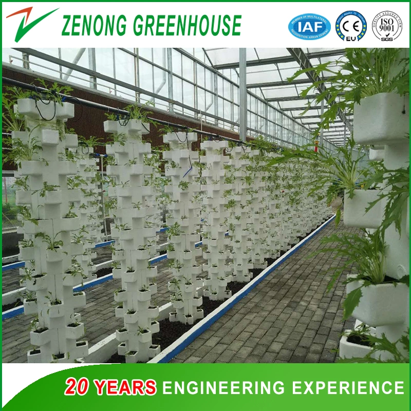 Polycarbonate Board Covered Greenhouse with Circular Fin Tube for Heat Preservation for Cold Season