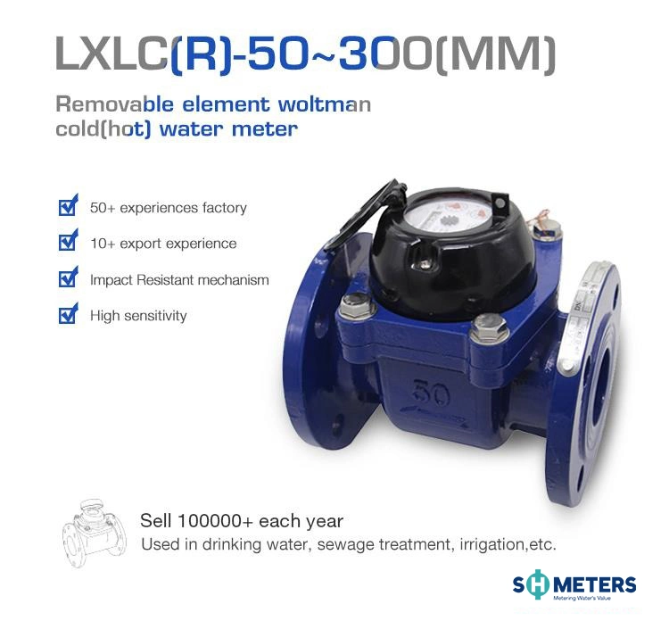 Mechanical Horizontal Removable Irrigate Woltman Flange Detachable Dry Type Cold Water Meter