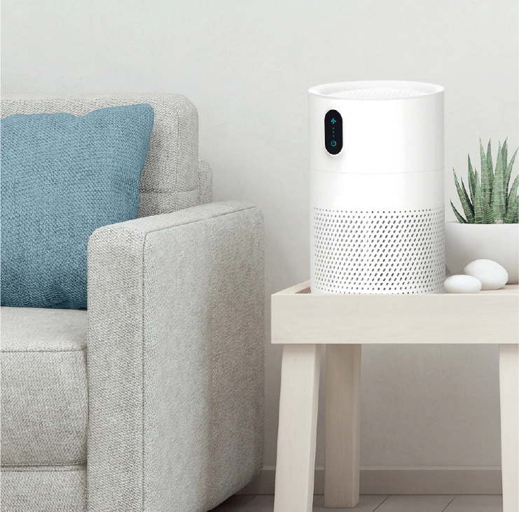 High Performance DC Motor BSCI Certified Indoor RoHS Conditioner Humidifier Air Purifier