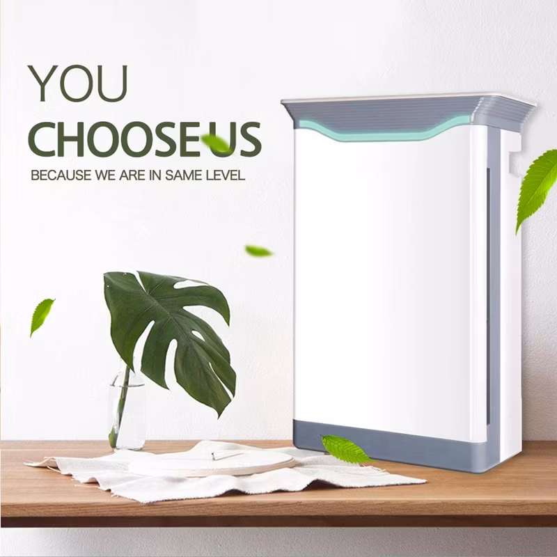 China Manufacture Ozone HEPA Filter Air Condition Air Purifier Humidifier for Home Air Purification System
