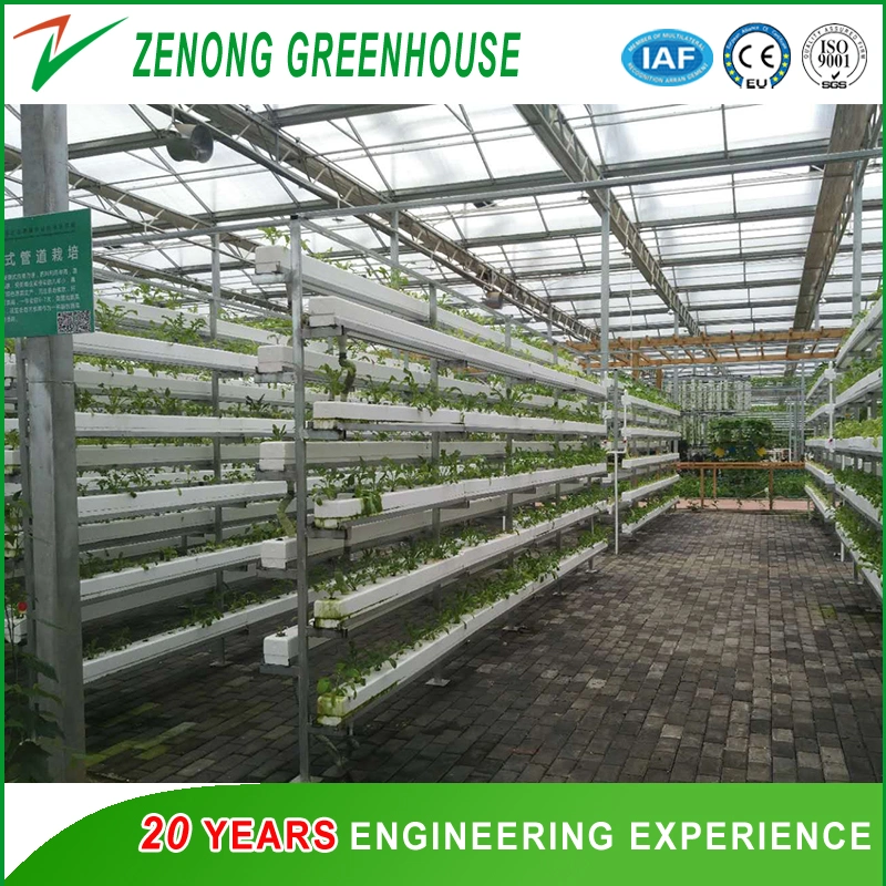 Polycarbonate Board Covered Greenhouse with Circular Fin Tube for Heat Preservation for Cold Season