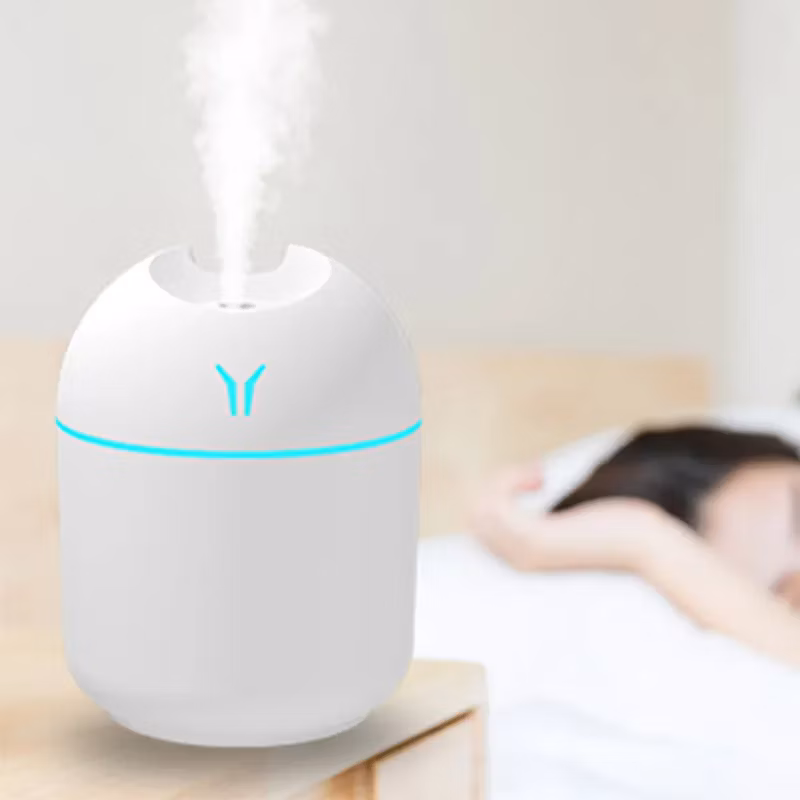 Portable Colorful LED Light Mini 250ml H2O Spray Mist Leaf Humidifier Car USB Cool Mist Air Humidifier