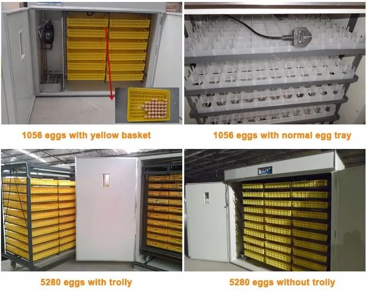 Commercial Large Farm Quail Gooser Peacock Eggs Poultry Incubator with Automatic Turner