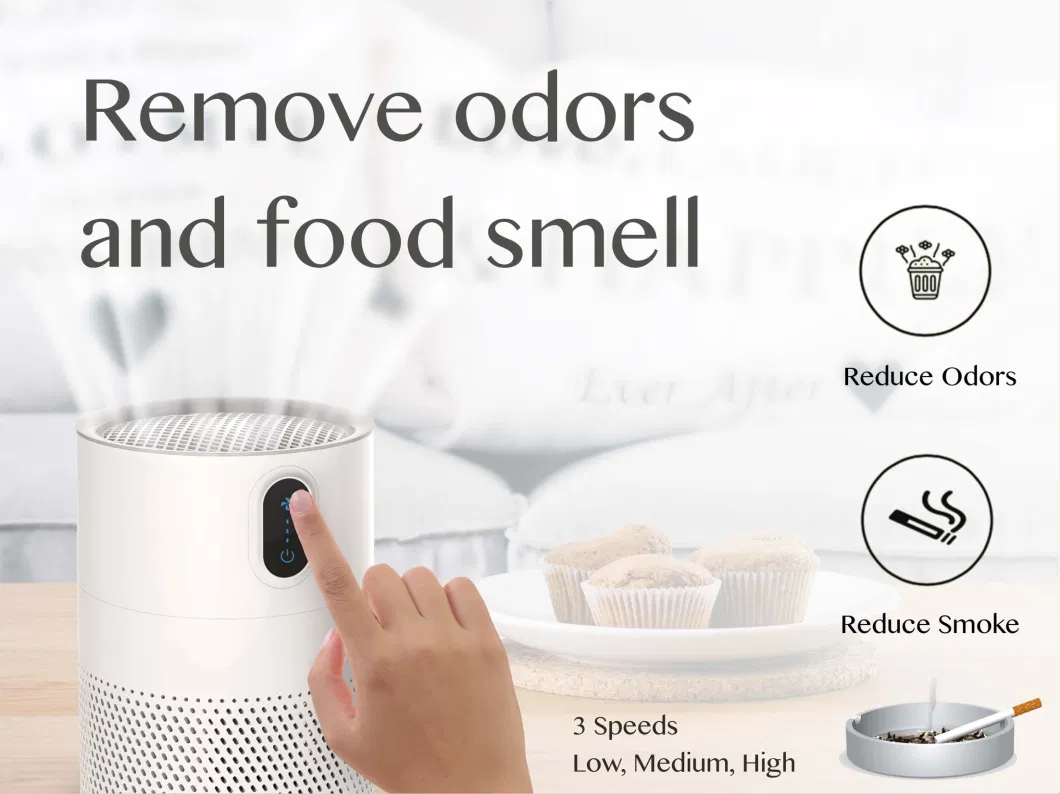 High Performance DC Motor BSCI Certified Indoor RoHS Conditioner Humidifier Air Purifier