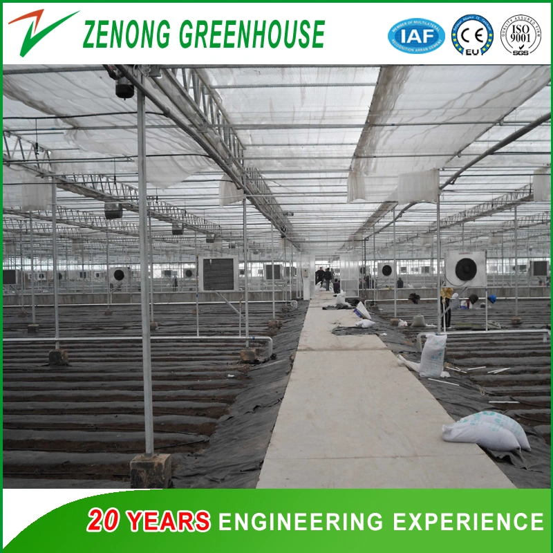 Glass Greenhouses with Heating Fan for Cold Area Vegetable/Flower Cultivation