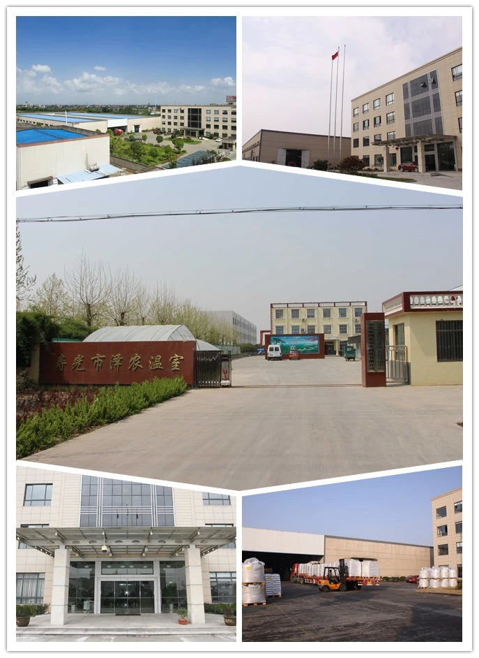 Glass Greenhouses with Heating Fan for Cold Area Vegetable/Flower Cultivation
