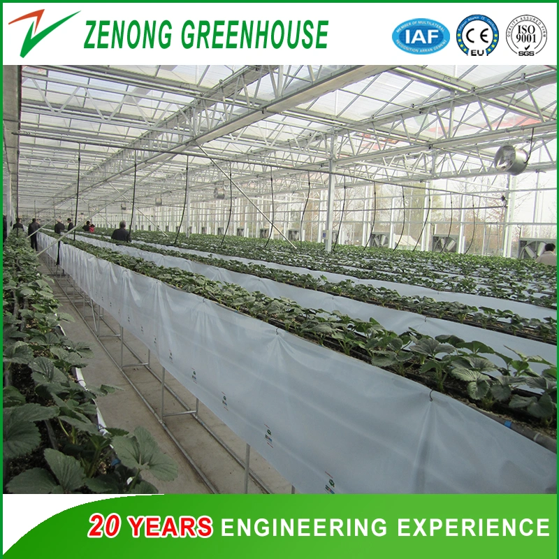 Polycarbonate Board Covered Greenhouse with Circular Fin Tube for Heat Preservation for Cold Season
