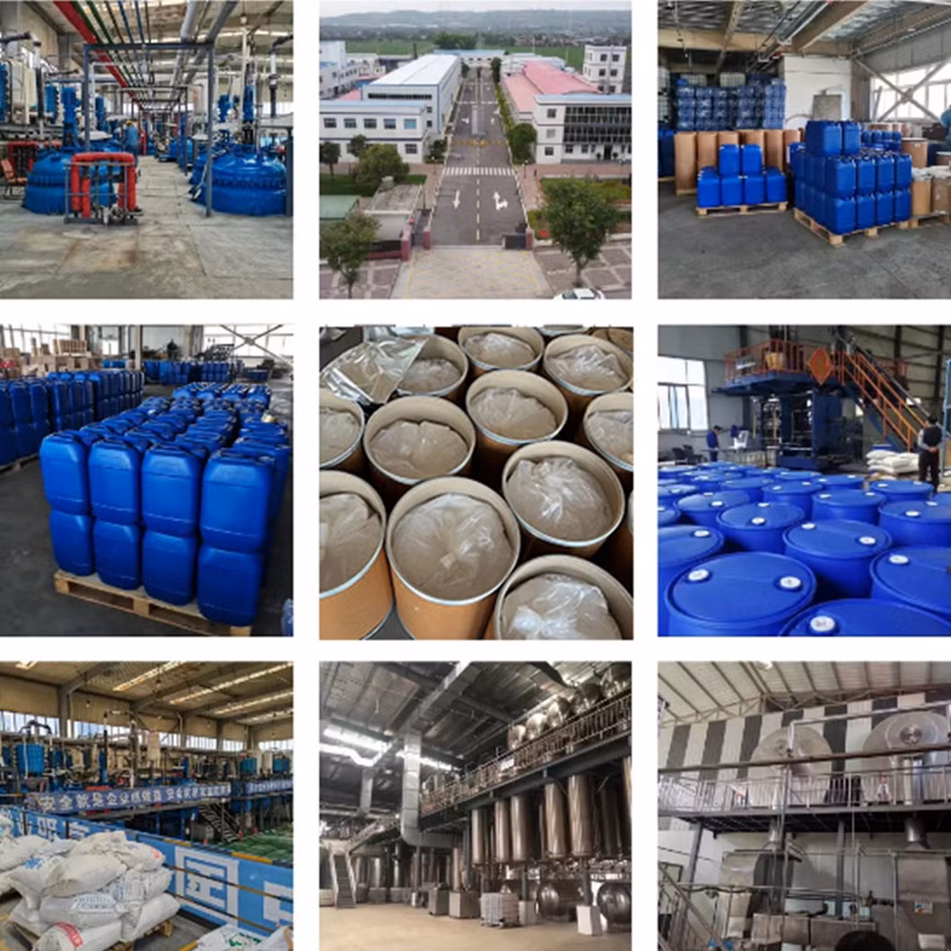 Door to Door Fast Delivery Cosmetic Raw Material CAS 11113-50 1 Boric Acid Powder