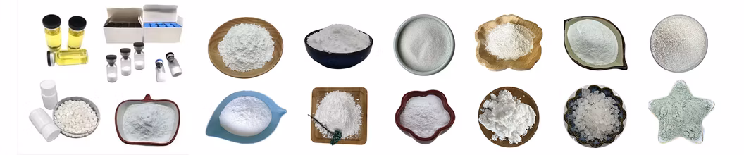 Door to Door Fast Delivery Cosmetic Raw Material CAS 11113-50 1 Boric Acid Powder