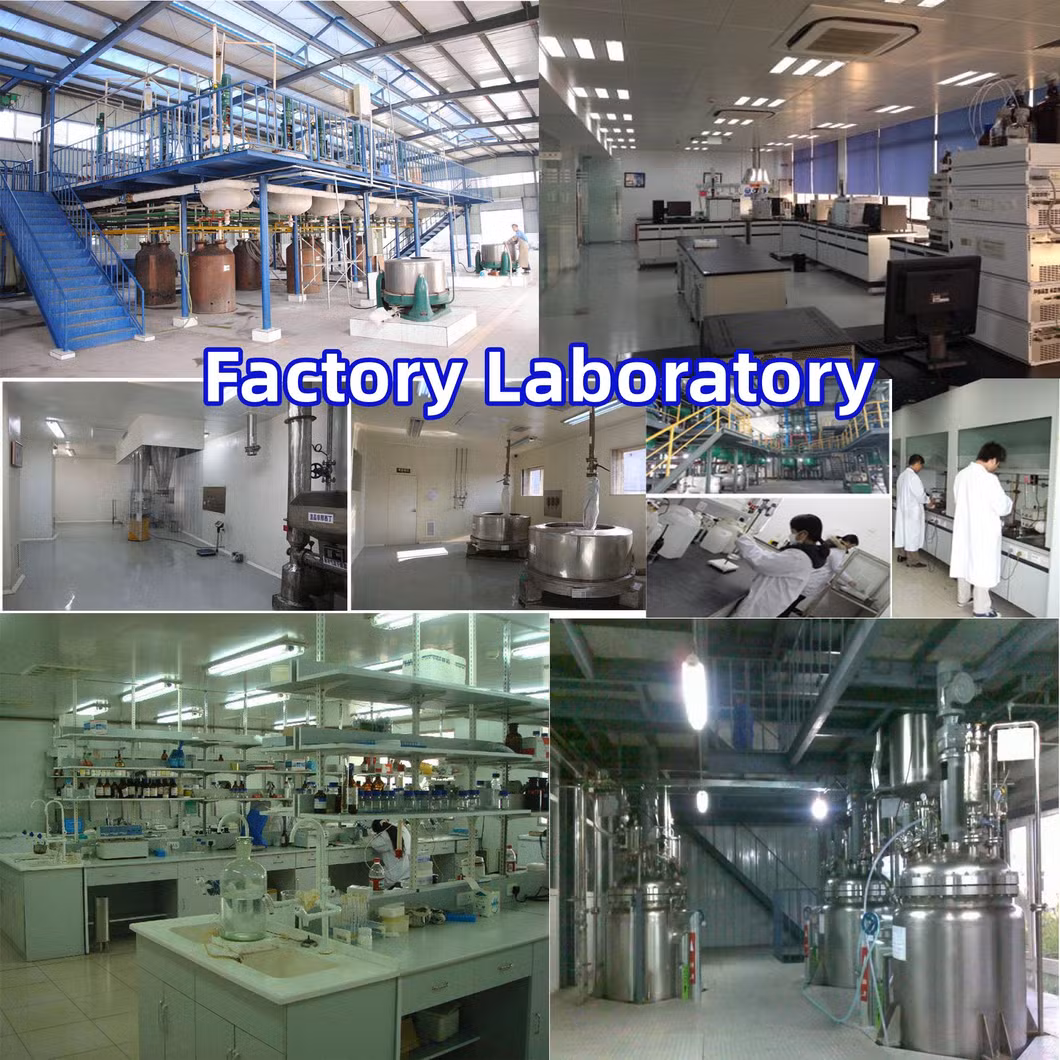 USA Espana Europe 100% Safe Through Customs, 99% Pure Powder Tetramisole HCl Tetramisola Hydrochlorida Em Po Tetramisol Hydrochloride Polvo CAS 5086-74-8