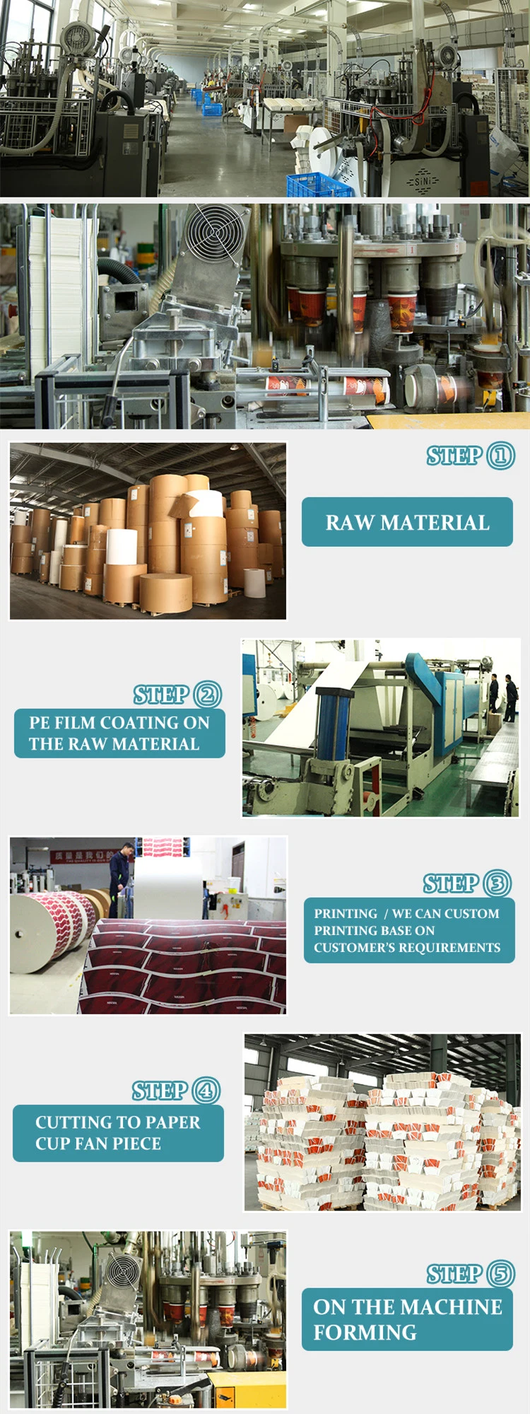 Friendly Paper Roll for Single Wall Coffee Paper Cup Printing Machine