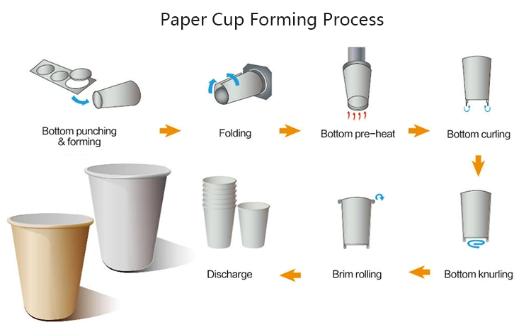 Paper Cup Making Machine Manufacturers Hot Cold Drinking Cups Coffee Tea Cup Making Machine