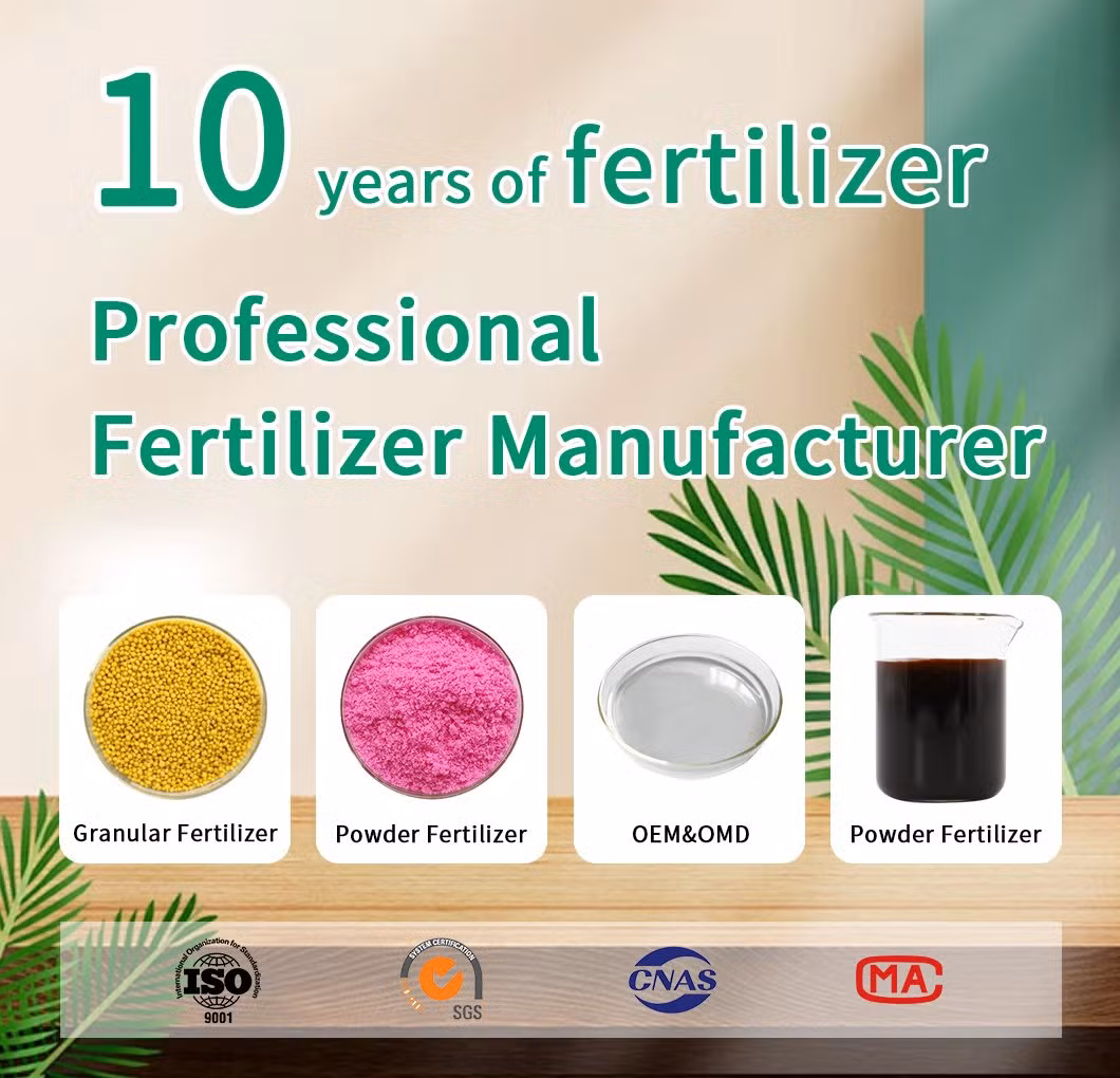 High Quality Agricultural Grade 25kg Bags White Calcium Ammonium Nitrate Fertilizer