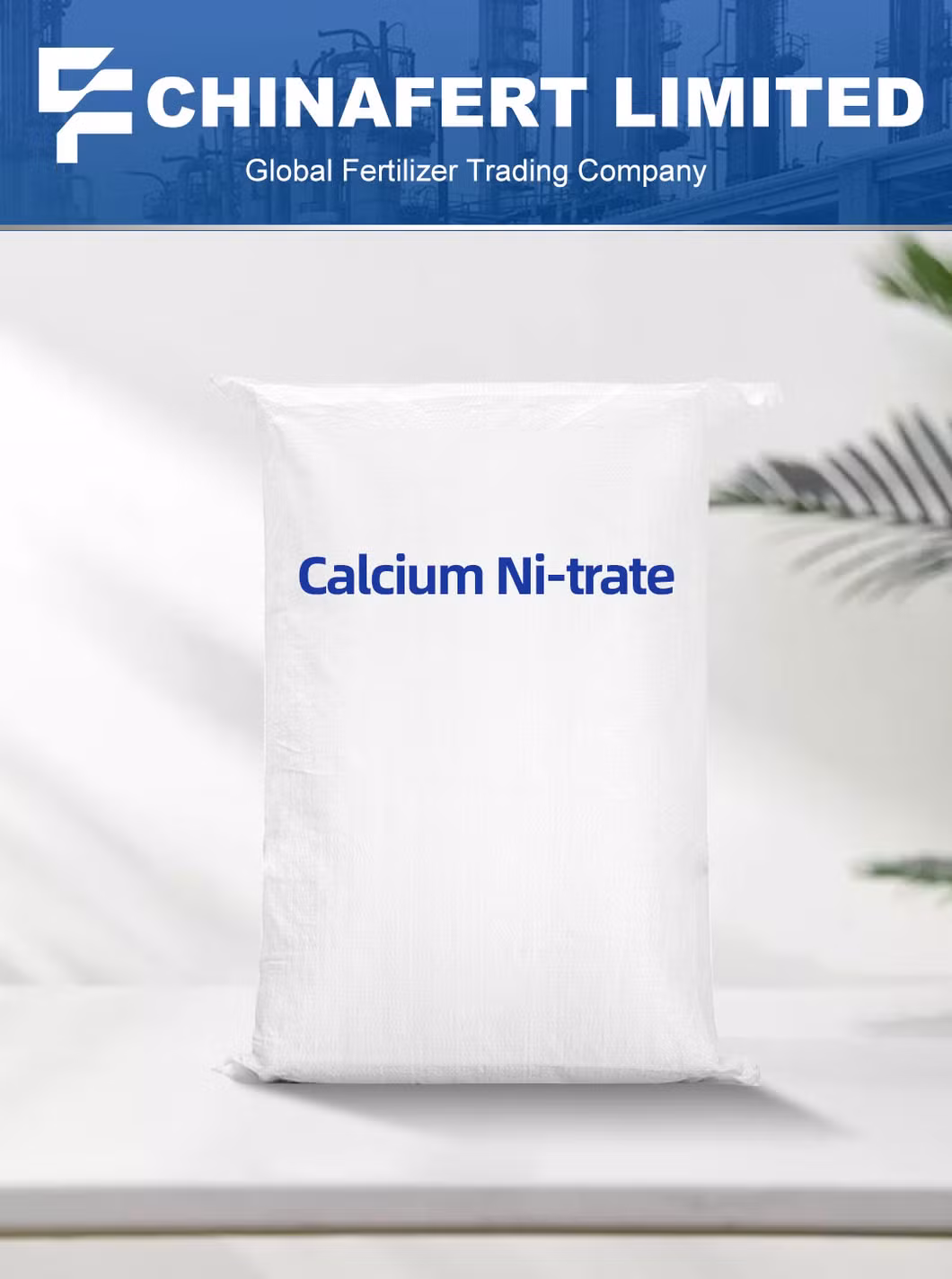 Factory Sales Price Agricultural Grade 25kg Bags White Crystal Calcium Fertilizer Nitrate