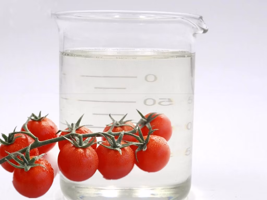 Chinese Fertilizer Liquid Potassium Phosphite 00-528-392.5+Te Fertilizer