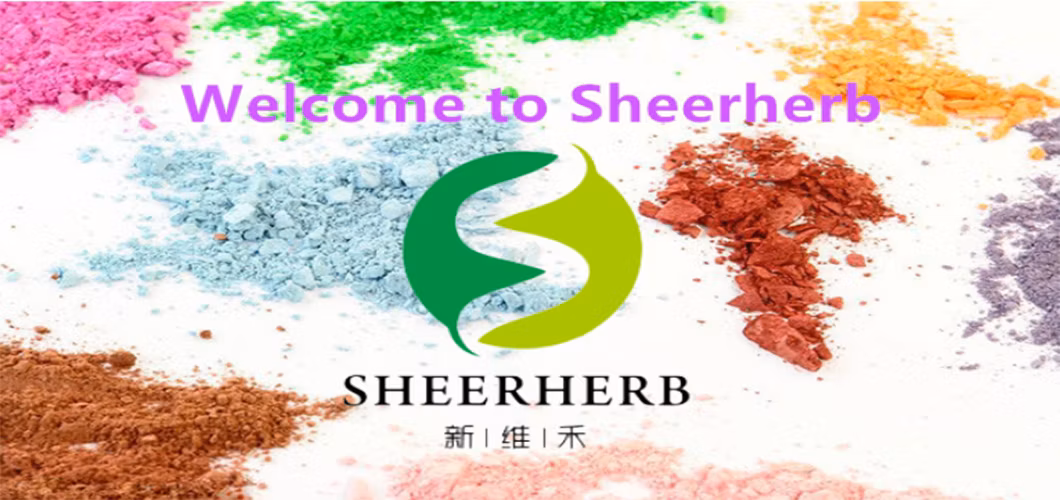 OEM Customization Sheerherb Enhance Immunity Bulk Nutrition Bcaa Amino Acid Bcaa 2: 1: 1