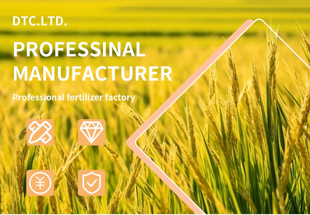Organic Agriculture Calcium Ammonium Nitrate Fertilizer for Plants Granular ODM Can