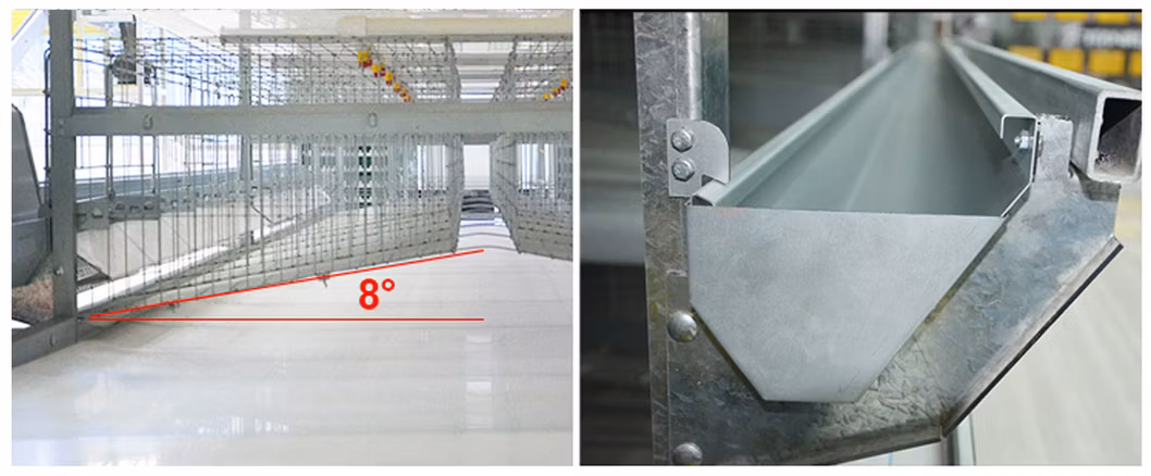 China H Type Automatic Poultry Layer Farming Equipment For Sale