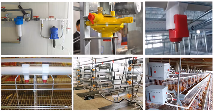 Poultry Equipment Automatic Layer Chicken Cage