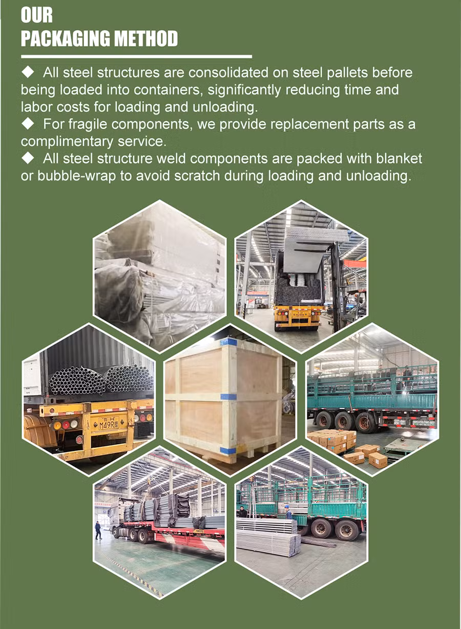 Tunnel Film Greenhouse for Commercial Farming of Vegetables and Leafy Greens Greenhouse