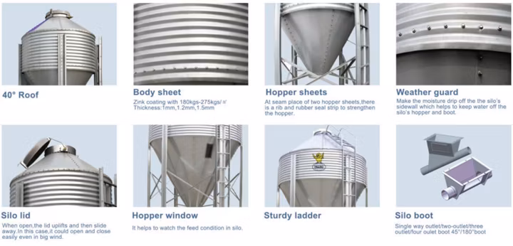 Poultry Equipment Automatic Layer Chicken Cage