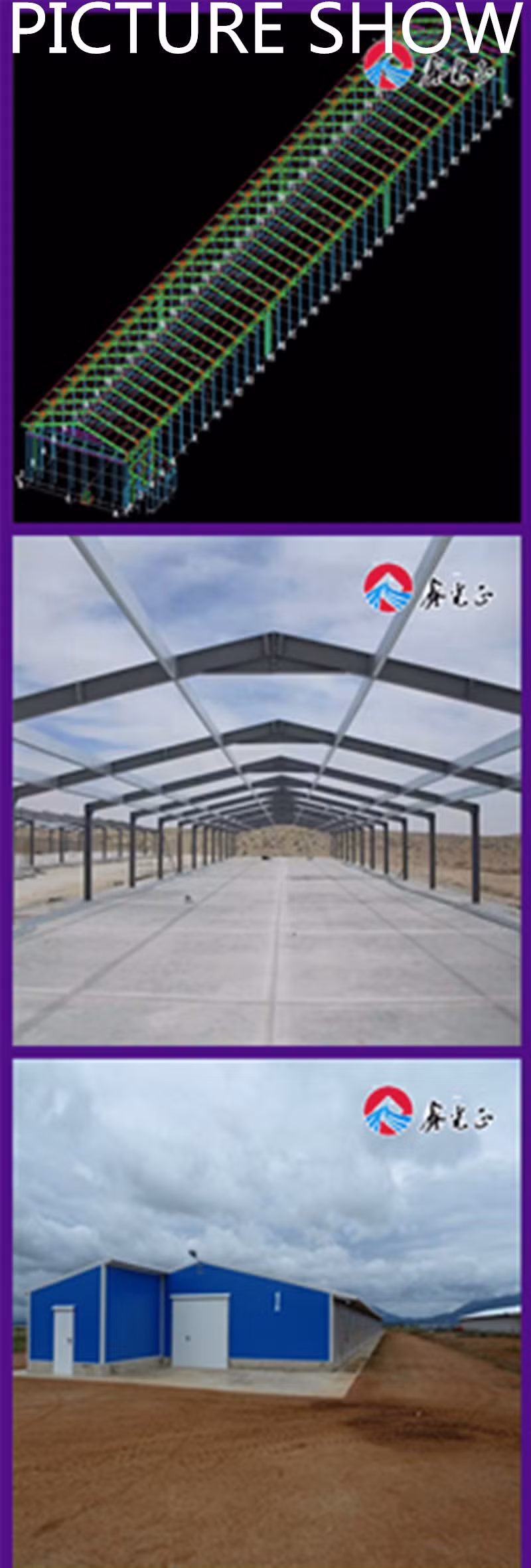 Poultry Equipment/Chicken House Equipment/ Poultry House Complete Farming System