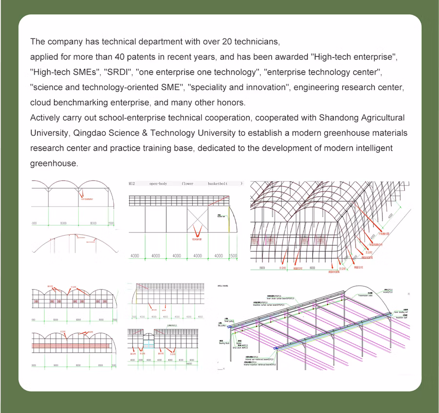 Tunnel Film Greenhouse for Commercial Farming of Vegetables and Leafy Greens Greenhouse