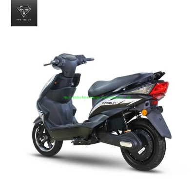 Classico due ruote 2 posti Green Energy Electric Citycoco