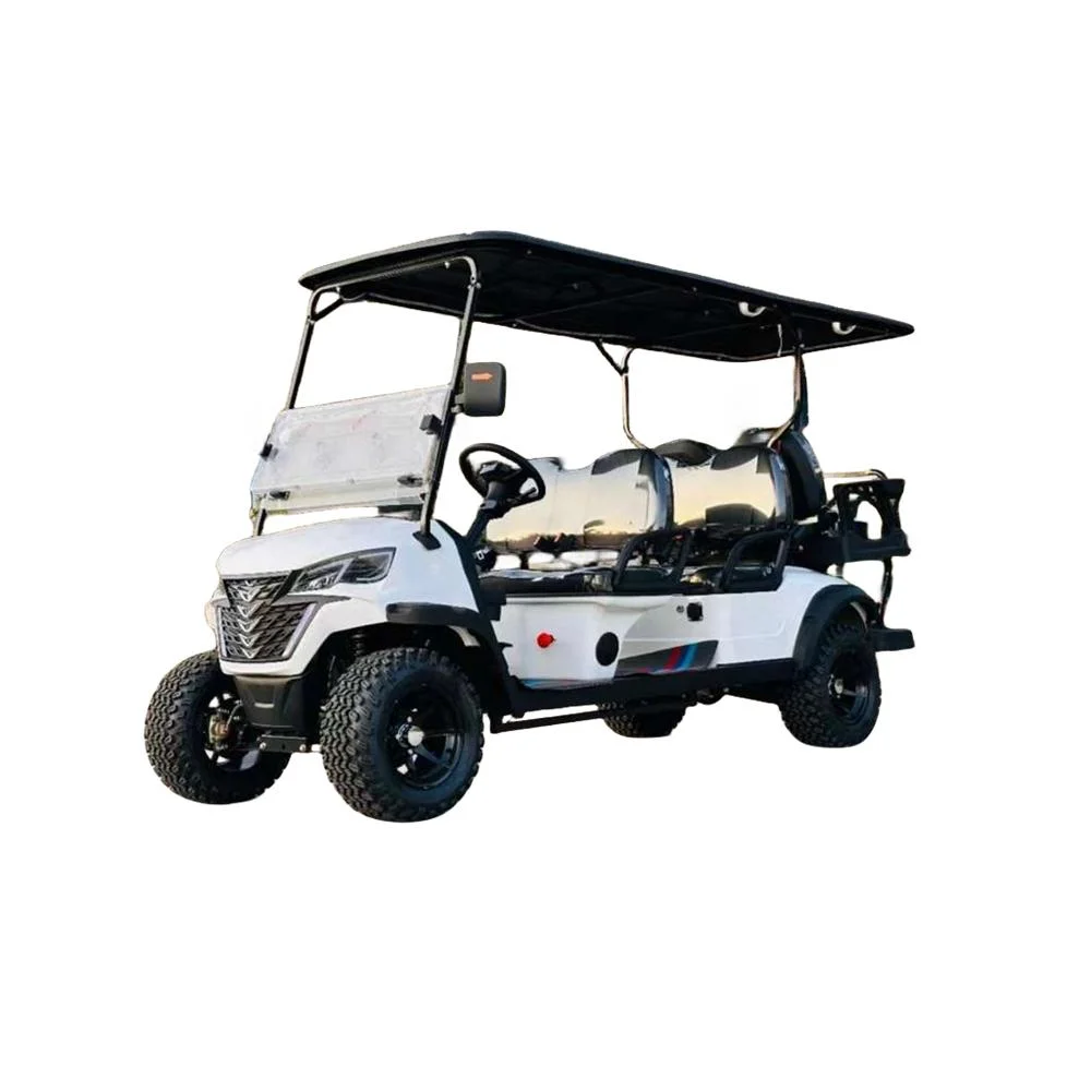 Chinese 2 4 6 Seater 8 Seat Electric Golf Carts Cheap Prices Buggy Car for Sale 36V Lithium Battery Gasoline 2 Person Golf Cart