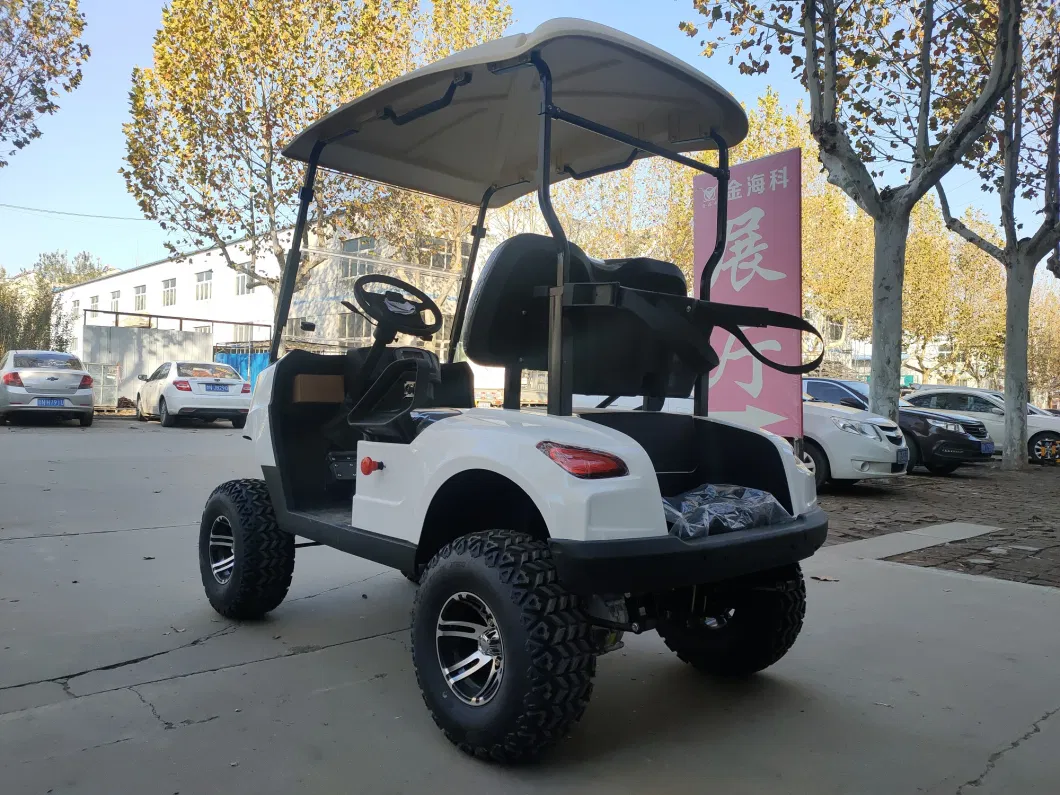 Classic 2 Seater Electric Golf Carts 48V4kw AC System Folding Golf Carts