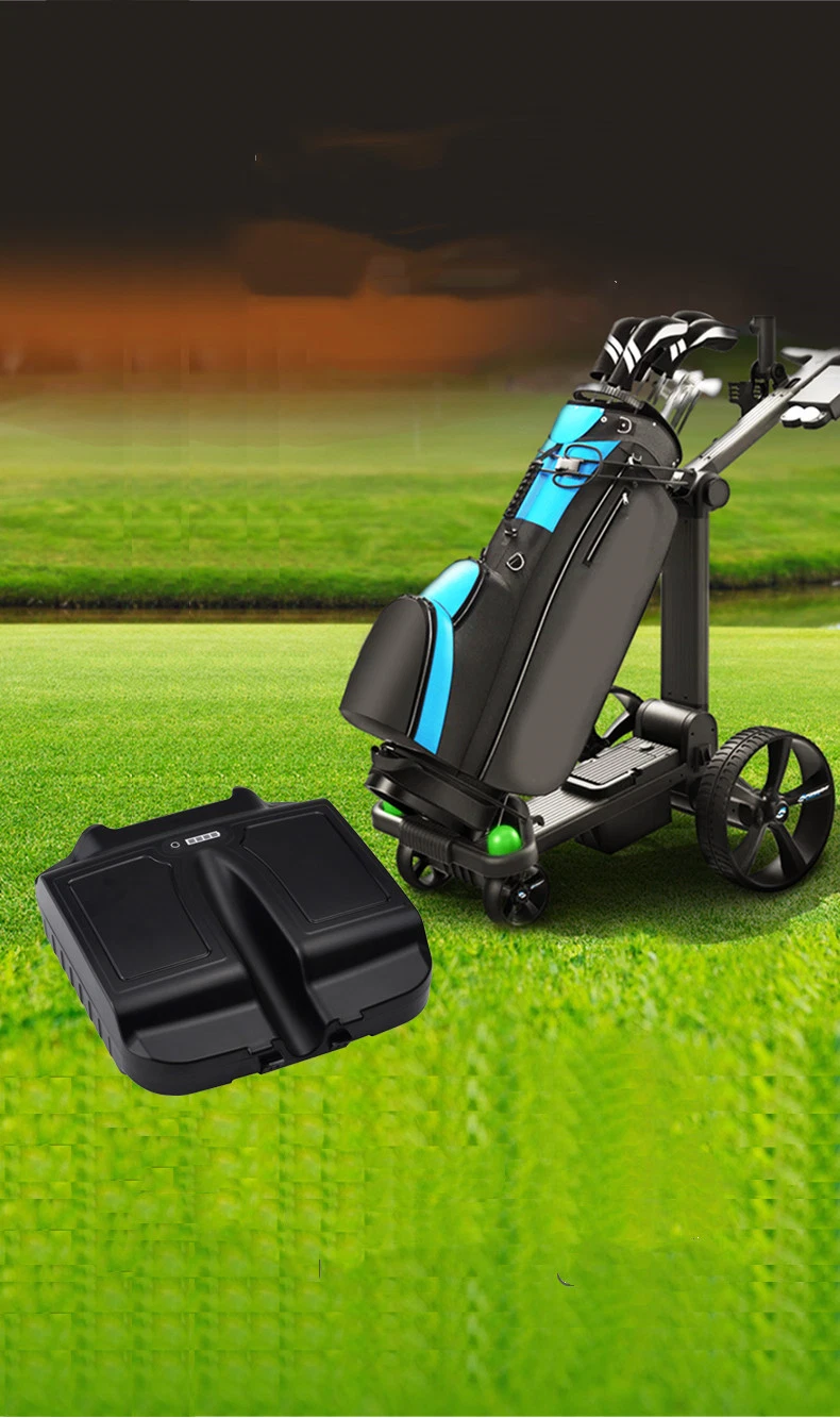 High Quality Factory OEM Customized Sports Golf Buggies 18 Hole Plug and Play Lithium Battery