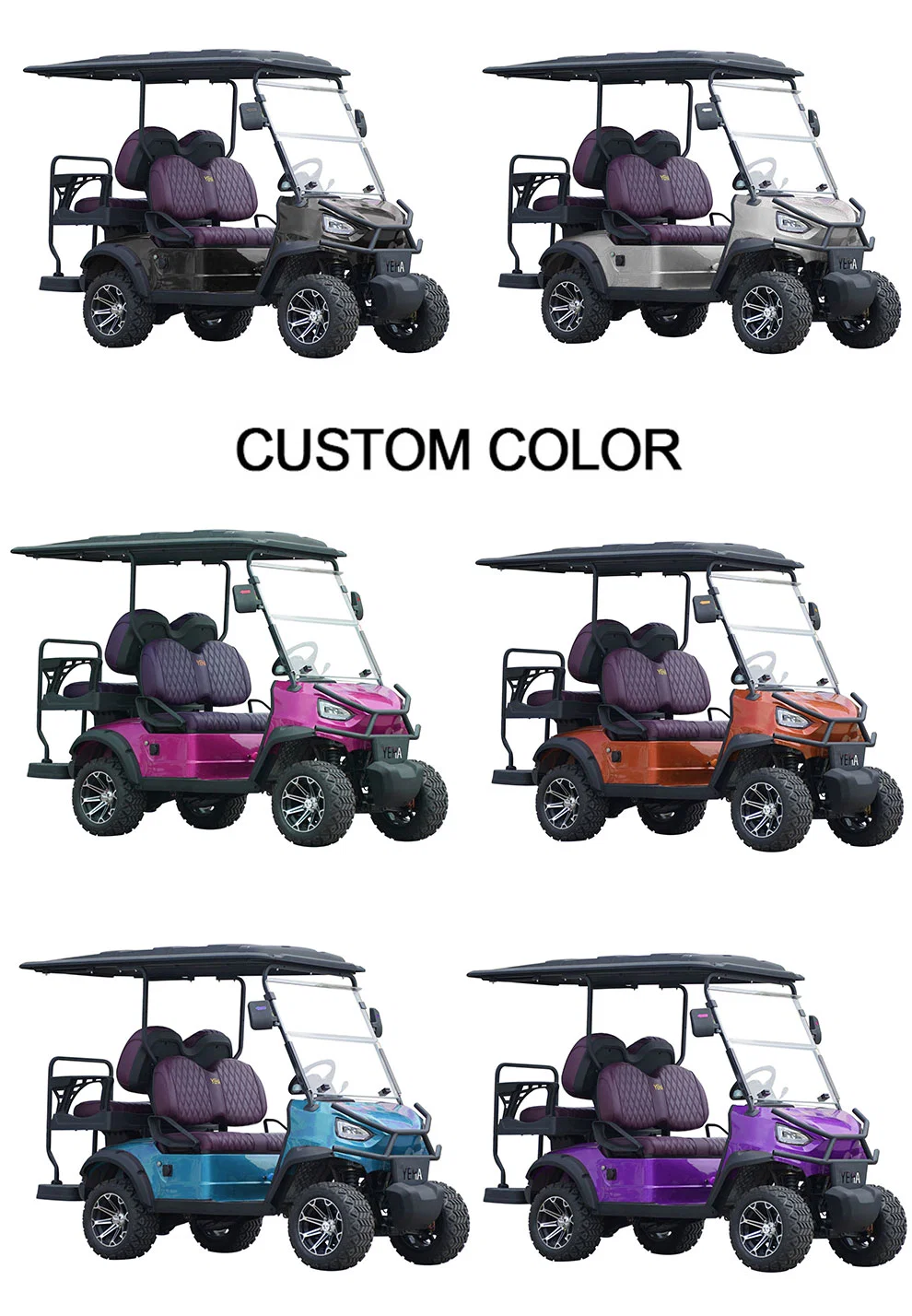 Lithium Battery Powered 2 Passenger Seats Electric Utility Cargo Golf Cart Truck with Long Range