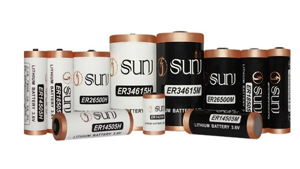 Er18505m Battery Er17505m Primary Lithium Battery 3.6V Lisocl2 Battery for Medical Equipment