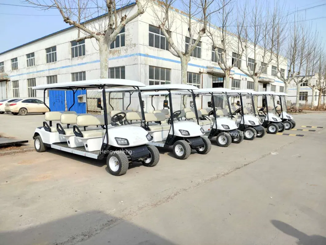 Classic 2 Seater Electric Golf Carts 48V4kw AC System Folding Golf Carts