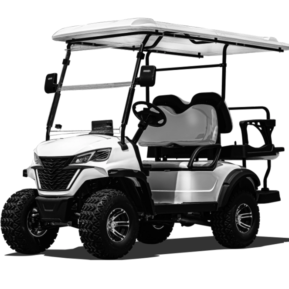 Battery Powered 2 4 6 Passenger Seats Electric Utility Cargo Golf Cart Truck with Long Range