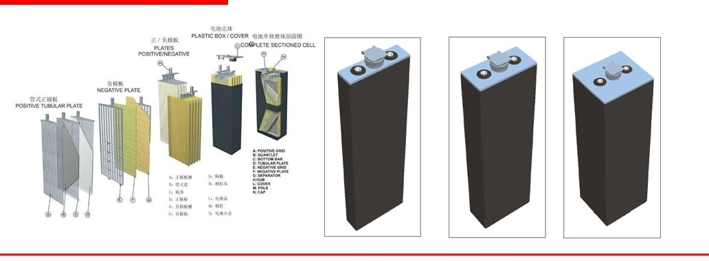 Csbattery Rechargeable Tubular Flooded Traction Battery for Truck/Forklift/Vehicle/Electric-Power 2pzb/3pzb/4pzb/5pzb/6pzb/7pzb/8pzb/9pzb/10pzb/2-13pzs/Csv