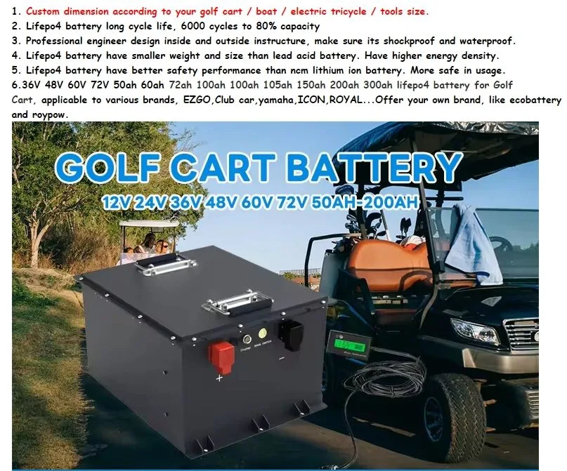 48V Power Battery LiFePO4 Four-Wheel Tour Car Golf Cart Lithium Iron Phosphate Battery Pack
