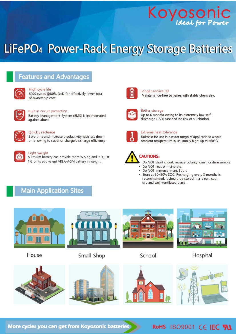 OEM 48V100ah 200ah Lithium Battery Reliable LiFePO4 Battery 2.5kwh 5kwh 10kwh 15kwh Mounted Packs Solar Lithium Ion Battery Rack for Solar Energy Storage