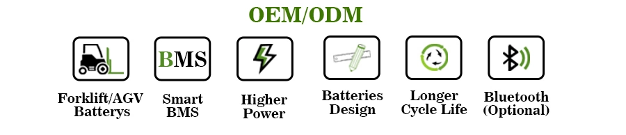 Cts Lithium LiFePO4 Battery 24V 48V 200ah 280ah 300ah with BMS for EV Agv Robot ATV Car