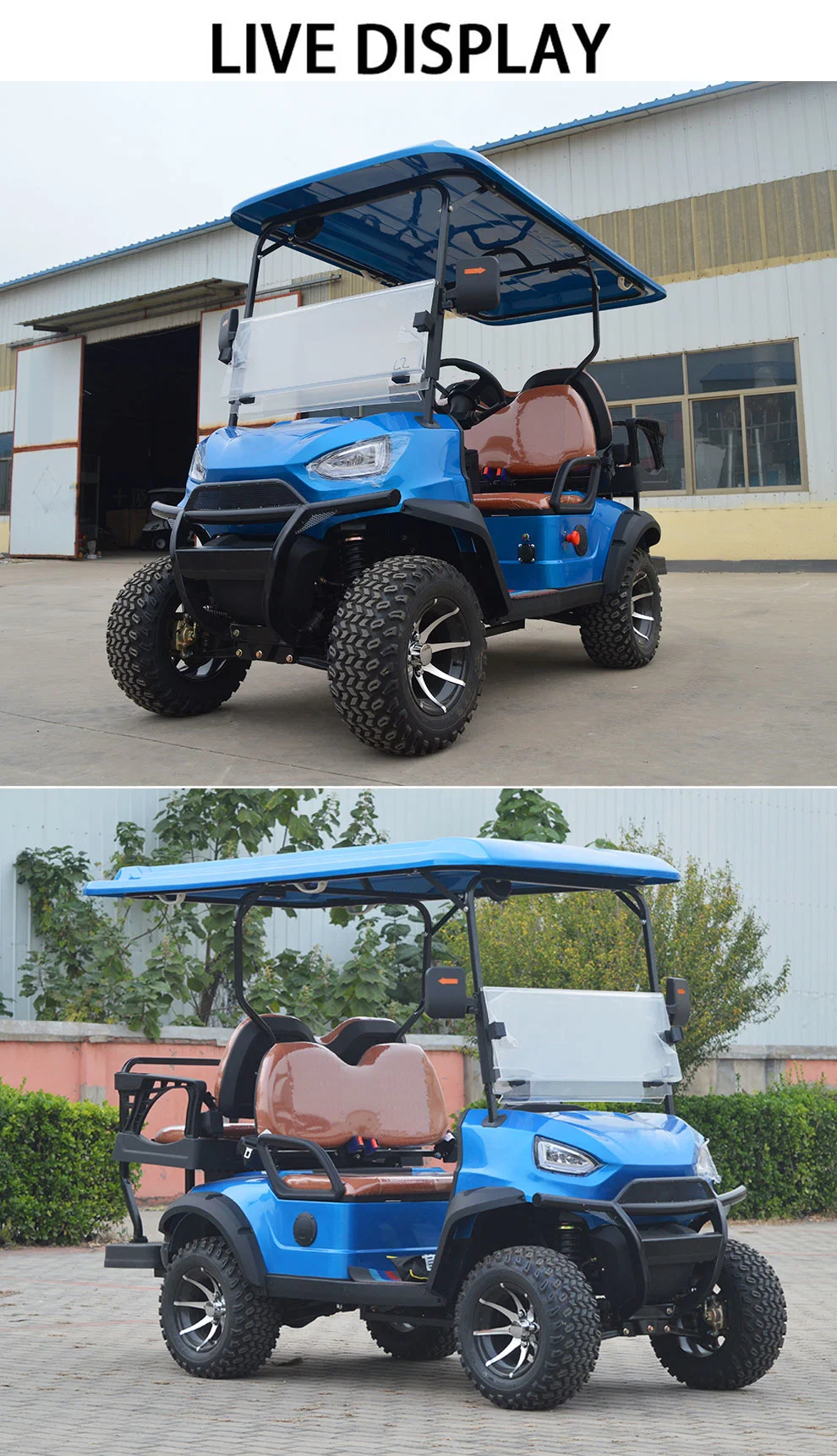 Lithium Battery Powered 2 Passenger Seats Electric Utility Cargo Golf Cart Truck with Long Range