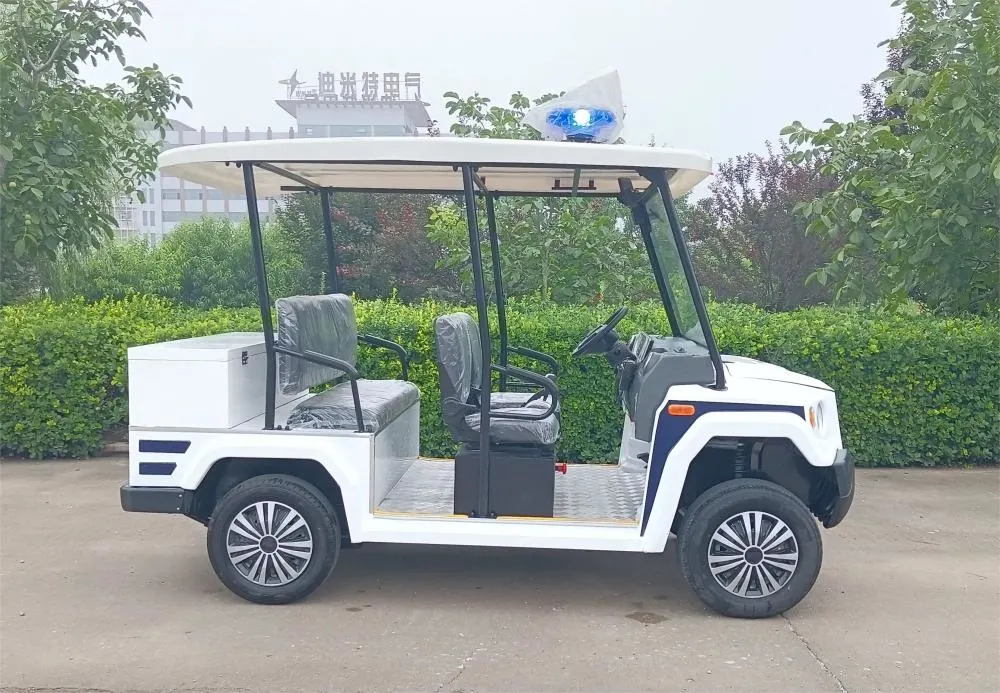 MMC Brand Multifunction 2 Seater Solar Panels Golf Cart Lithium Battery Intelligent Operated Rear Cargo Box Electric Golf Carts