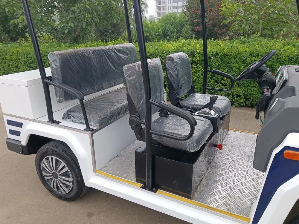 MMC Brand Multifunction 2 Seater Solar Panels Golf Cart Lithium Battery Intelligent Operated Rear Cargo Box Electric Golf Carts