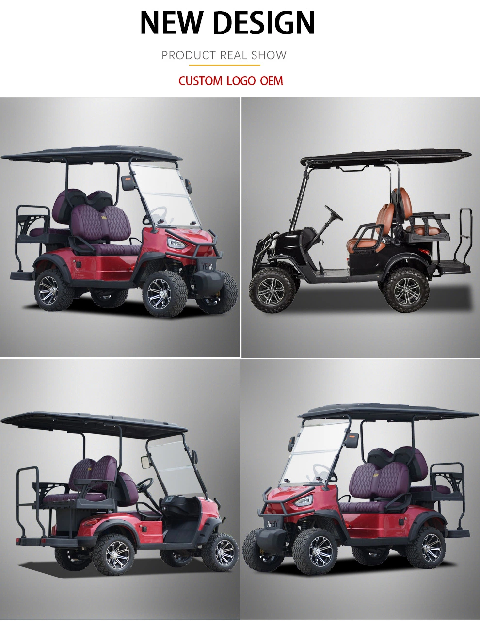 Lithium Battery Powered 2 Passenger Seats Electric Utility Cargo Golf Cart Truck with Long Range