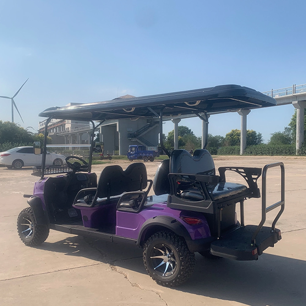 Battery Powered 2 4 6 Passenger Seats Electric Utility Cargo Golf Cart Truck with Long Range